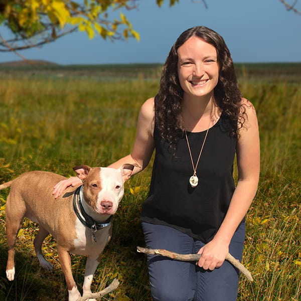 Columbus Lap Of Love Mobile Veterinarian